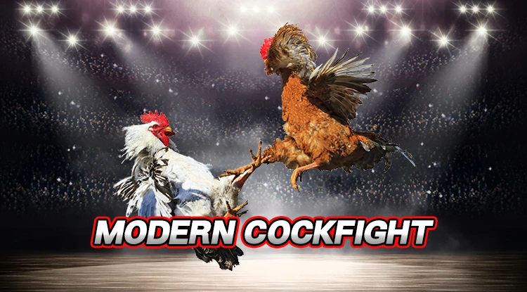 Online cockfighting betting in the modern age